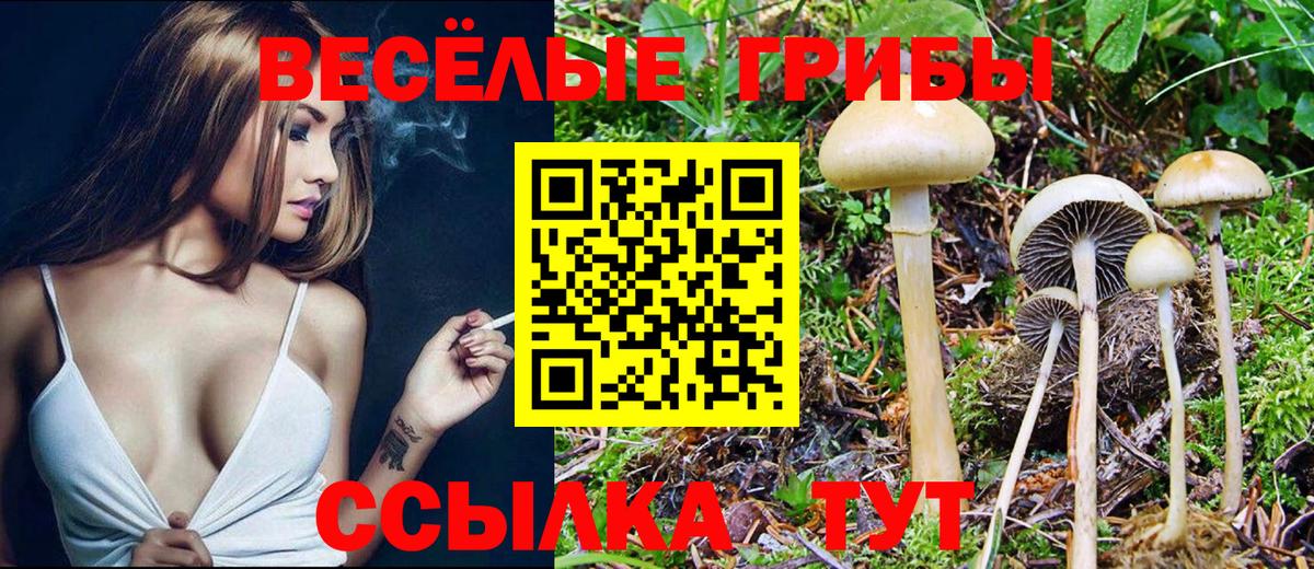 Конаково  Псилоцибиновые грибы ЛСД  Вход с VPN 